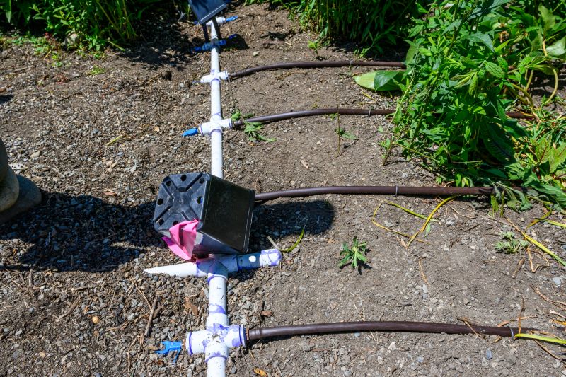 Garden Irrigation Installation in Honolulu, HI