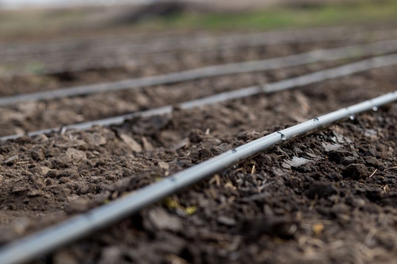 Irrigation Installation in Aiken, SC