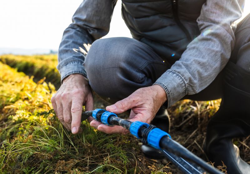 Sprinkler Repair in Honolulu, HI